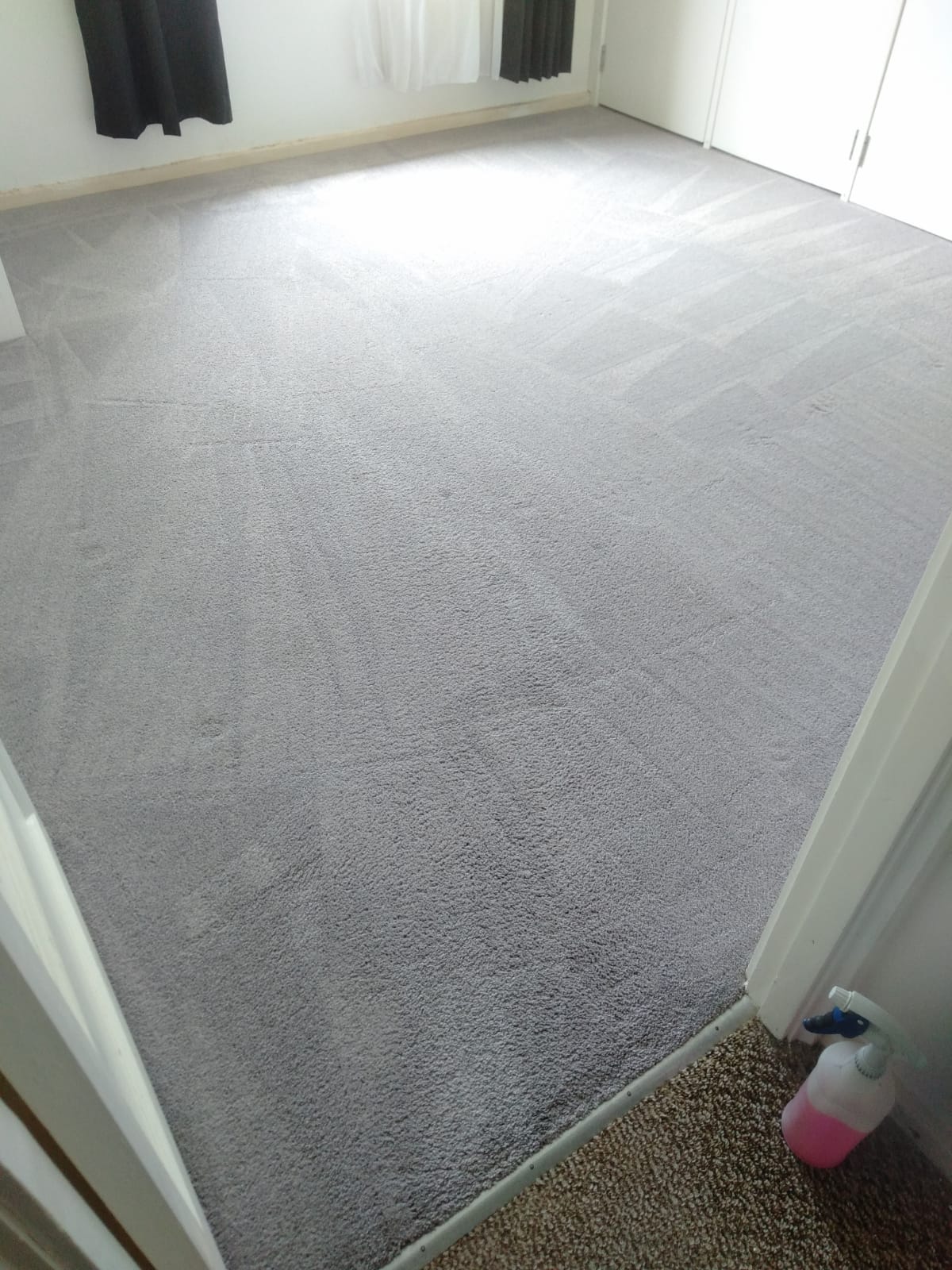 Carpet Cleaning Service Leopold